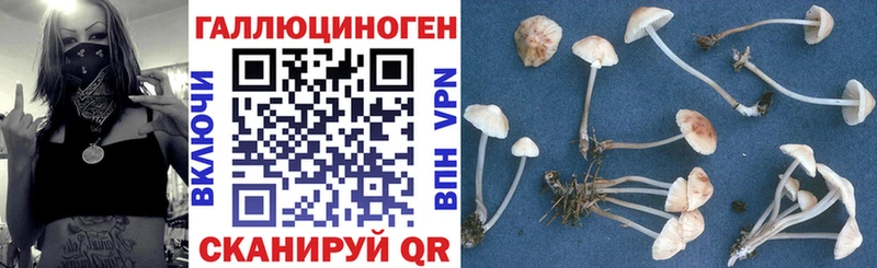 hydra ССЫЛКА  Сорск  Псилоцибиновые грибы Magic Shrooms 