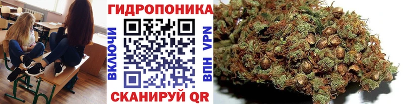 купить наркотики сайты  Сорск  Марихуана семена 